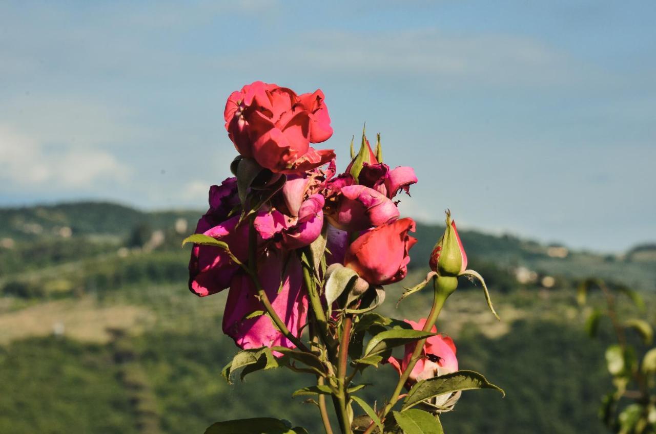 Appartamento A Villa Rosa Compiobbi Bagian luar foto